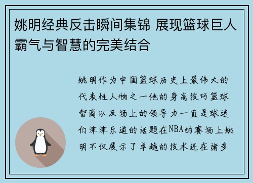 姚明经典反击瞬间集锦 展现篮球巨人霸气与智慧的完美结合